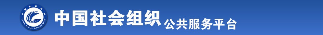 在线综合乱伦另类性爱短视频全国社会组织信息查询